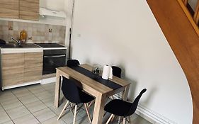 Bel Appartement Duplex - Nogent Hypercentre